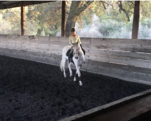 woman on horse